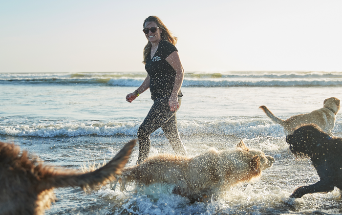 Dog swimming